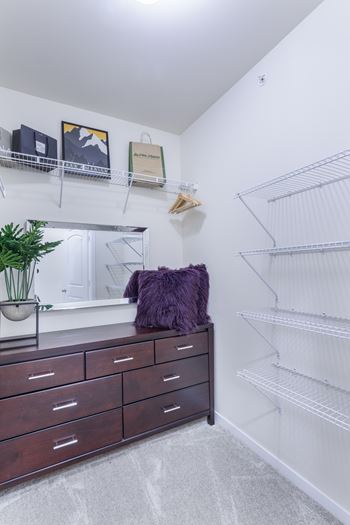 A white wall with a shelf and a plant on it.